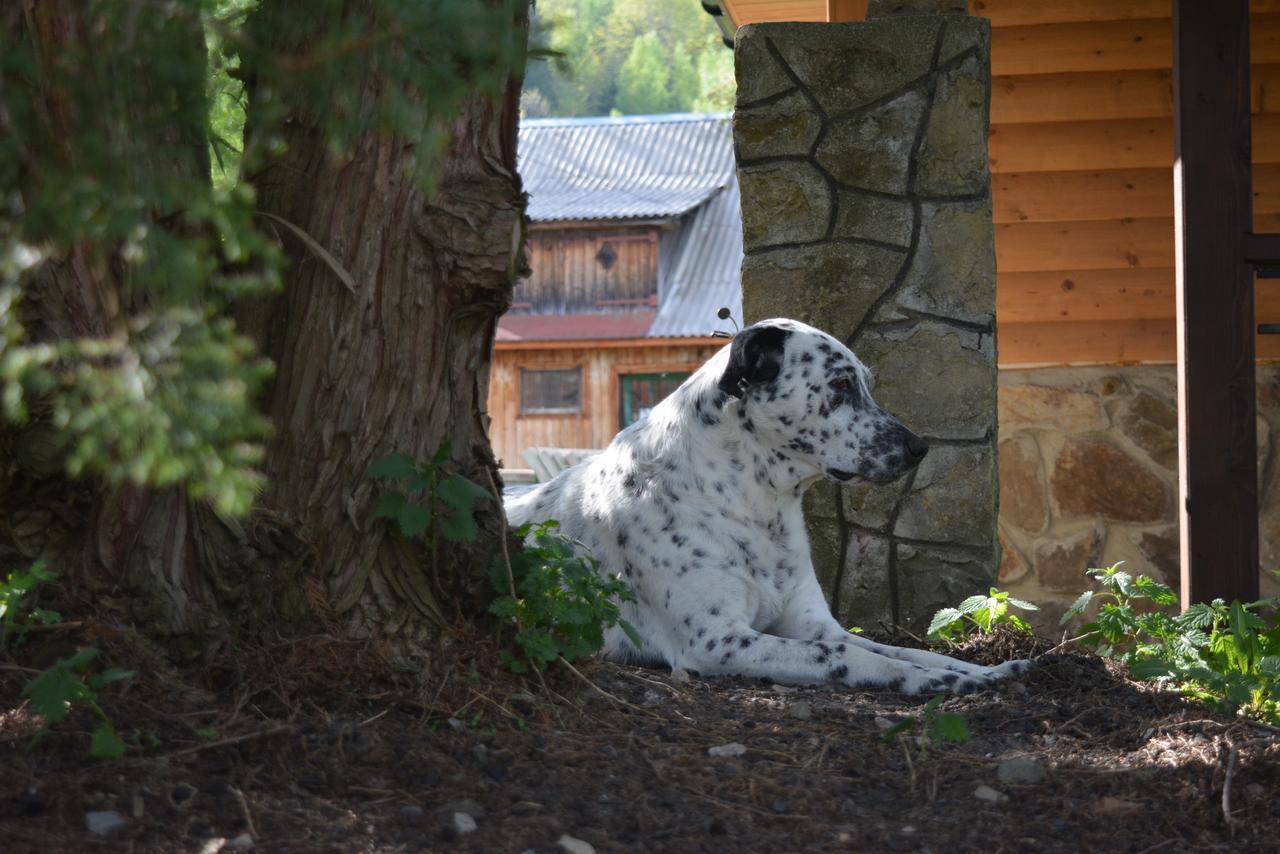 Holiday Home La Vіta Yaremche Luaran gambar